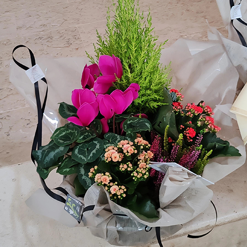 Coupe de plantes de saison pour le cimetière