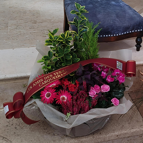 Coupe de plantes extérieures de saison avec ruban